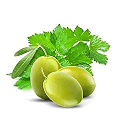 CUCINA Dish Detergent Refill, Coriander & Olive Tree – 33.8 fl oz (1 L) – Concentrated Liquid Dish Soap, Biodegradable Formula, Grease-Cutting Power