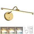 Picture Lights for Wall – Wireless Rechargeable LED Light with Remote, Adjustable Arm, Gold Battery Operated Display Lighting for Paintings, Bedroom, Gallery Wall Décor (Gold, 12.6 inch - 1Pack)