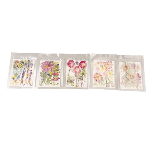 Flores prensadas secas para resina 100 piezas variedad miniatura 2
