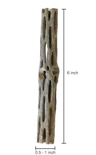 Natural Cholla Wood for Aquarium Decoration Shrimp and Fish Tank (6 Inch (5 Pack))
