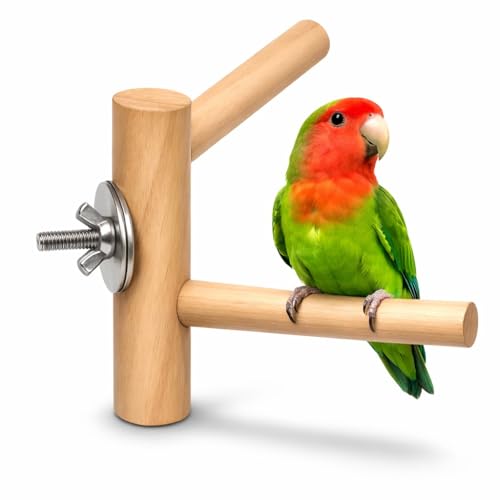 Image of KSK Natural Wooden Bird Perch for Cage - Wall Mounted Parrot Stand with Stainless Steel Bolt - Comfortable Foot Rest for Budgies, Lovebirds, Cockatiels & Small Birds