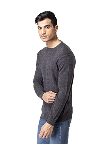 Image of Allen Cooper Solid Sweater for Men
