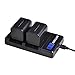 Batmax 2 Packs 2500mAh NP-FV70 NP FV70 NPFV70 Batteries&LCD USB Charger for Sony NP-FV50 FV30 HDR-CX230 HDR-CX150E HDR-CX170 CX300 Z1 and More