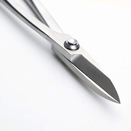 Tianbonsai MODEL-S-46 180 Mm Long Handle Scissors Professional Quality Level 4Cr13Mov Advanced Alloy Steel Bonsai Tools Made Company thumb #1