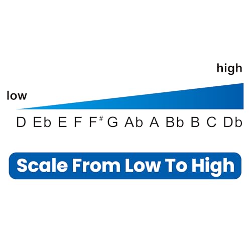 East Top Armonica A Bocca Cromatica Forerunner 2.0 Senza Valvole A 12 Fori, 48 Toni, Chiave C, Per Adulti, Principianti E Studenti - 8