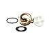 T&S Brass B-0969-RK01 Vacuum Breaker Repair Kit
