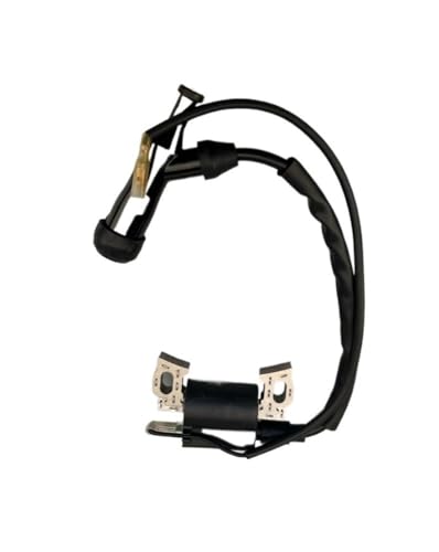 Bobine d'allumage GX160 GX200 bloc moteur essence motoculture et karting