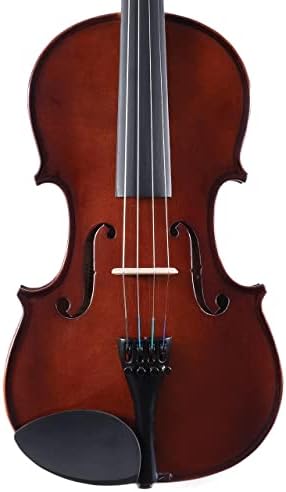 Palatino VN-350-1/4 Campus Violin Outfit, 1/4 Size