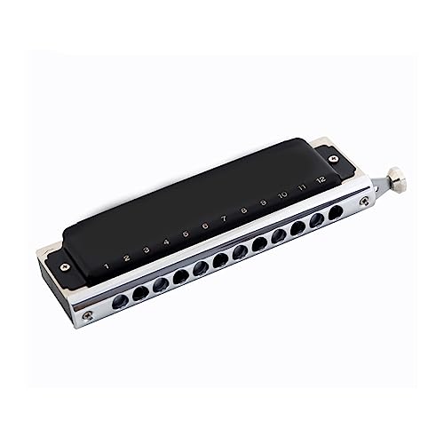 PacuM Harmonica par Instrument Clé 12 Trous 48 Tons Harmonica Noir Chromatique Clé de C for Joueur Professionnel Étudiants Débutant Harmonica - Les Beatles, Paul McCartney, John Lennon, RIngo Starr, George Harrison PacuM Harmonica par Instrument Clé 12 Trous 48 Tons Harmonica Noir Chromatique Clé de C for Joueur Professionnel Étudiants Débutant Harmonica