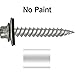 Stainless Steel Metal Roofing Screw: NO Paint (250) 12 x 1-1/2
