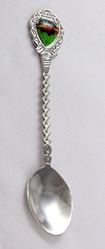 North Dakota State Souvenir Collectible Twist Spoon 5