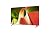 LG 2024 OLED TV | OLED48B4 | 48'' (121 cm) | OLED| ?8 AI 4K Processor | Dolby Vision & Atmos | Alexa