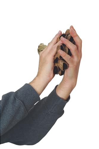 Gmp SHAK-14 Pangi Seed Shell Shaker/Nutshell Percussion Sound Effect thumb #5