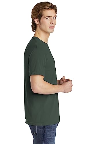 Image of Comfort Colors Adult Short Sleeve Tee, Style G1717