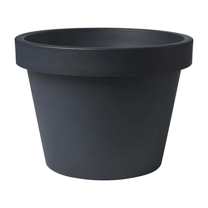 Nuova Pasquini & Bini Cassetta Rettangolare ACQUARIO - Cm 80x40x34H in