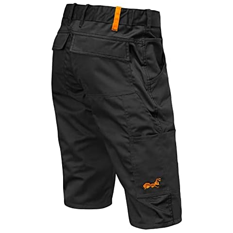 strongAnt Pantalones Cortos de Trabajo Cover