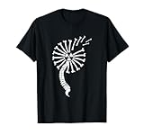 Medical Radiation Technologists Apparel