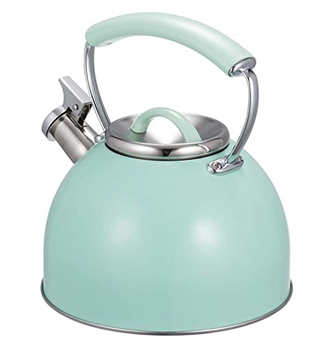 Hervidor de Agua portátil para Estufa, 2.5 L, Acero Inoxidable, con Silbato y asa.