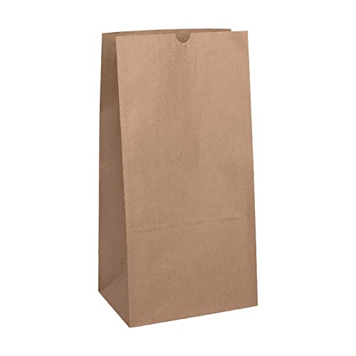 Karat 20lb Paper Lunch Bags - Kraft, 500 Count - Versatile Paper Lunch Bags for Food or Commodities - Sturdy, Self-Standing, Reusable