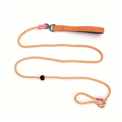 Rieoany Retrieverleine mit Zugstopp, 6mm x 180cm Hundeleine für kleine, mittlere und große Hunde, Zugstopp Halsband Hund, Leichte Hundeleine mit Halsband, Retrieverleine für Training und Spaziergang