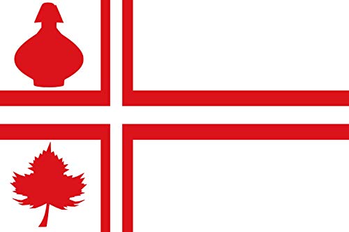 Drapeau Diever vlag grand format pavillon historique Drenthe Pays Bas