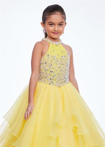 Little Girls' Organza Pageant Party Ball Gowns Flower Girls Pageant Dress3