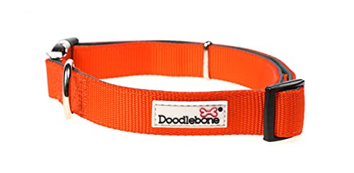 Doodlebone, Padded Dog Collar, Adjustable Breathable Comfort Collar with Reflective Stitching