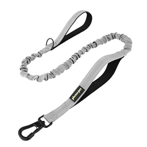 Plutus Pet Taktische Hundeleine Grau