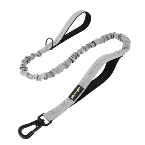 Plutus Pet Taktische Hundeleine Grau