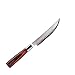 Suncraft Senzo Classic ID-10 - Coltello da bistecca 12 cm, 67 strati, 61 HRC