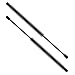 2 Pcs Front Hood Lift Supports Shocks Struts Gas Spring For 2004-2007 Nissan Maxima 4162 SG325011