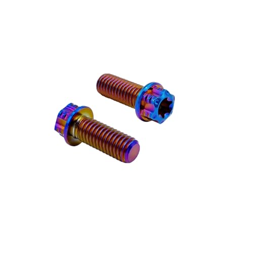 Image of RISON Titanium Bolts M10x1.25x25mm Torx Titanium Bolts for Motorcycles Hex Head Dual Drive Burnt Blue Titanium Flange Bolt Pack of 5