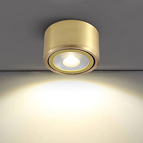 Moderne LED Plafonniers Lumière De Luxe En Laiton Plafonnier Monté En Surface Plafond Downlight 2.9in Mini Plafonniers Pour Magasin Cuisine Île Salon Cover