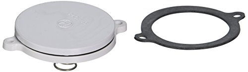 Hayden SuperValve with 110v and Small Door-White