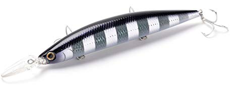 アメマスを釣ってみよう おすすめスプーン ジグ ミノーを徹底紹介