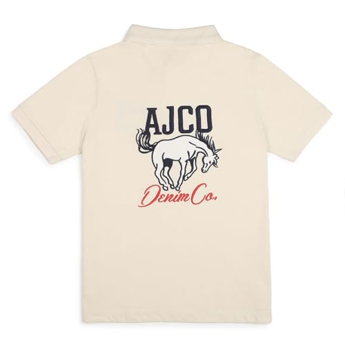 Image of Alan Jones Clothing Boy's Cotton Regular Fit Colorblock Regular Polo T-Shirt