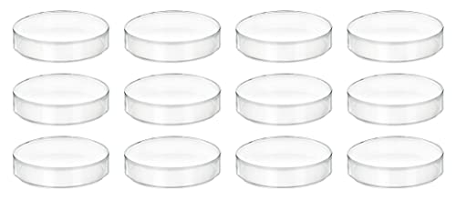 Boîtes de pétri en plastique 50 mm pour mycologie et semis à la maison