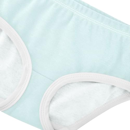 Joisal Light Cyan Aqua Little Girl Panties Toddler Underwear Floral Cotton Personalized Briefs Kids Undies 2t4