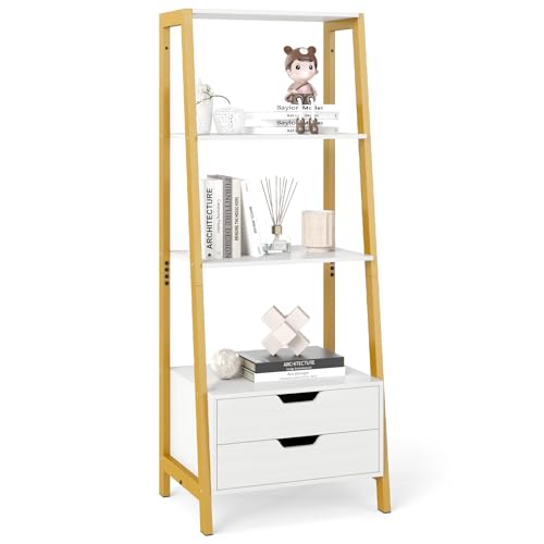 ladder bookcases