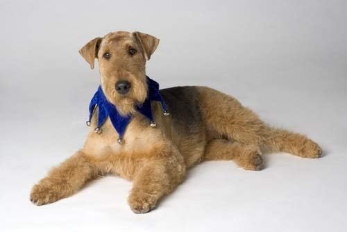 Posterazzi Pedigree Dog - Póster (16.9 x 11.0in)