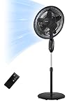 Pedestal Fans Living Room