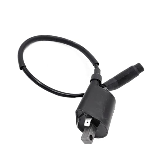 Bobina de encendido para solventar fallos de arranque en Quad y UTV LH260 a 550 5