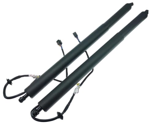 Vérin de hayon électrique de haute précision 81770D9100 performance durable