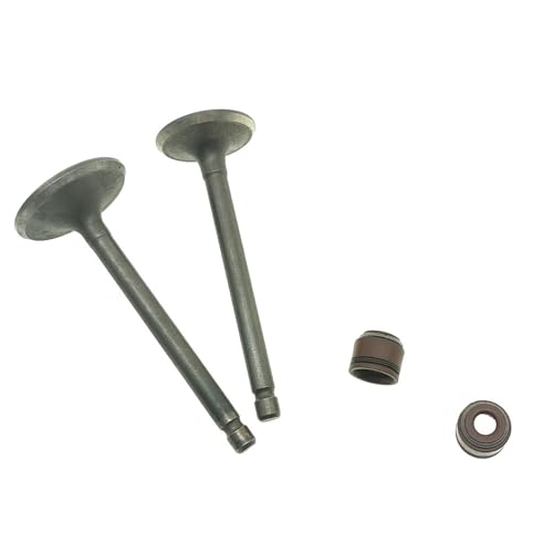 Kit soupapes admission échappement pour l'entretien de votre moto STX125