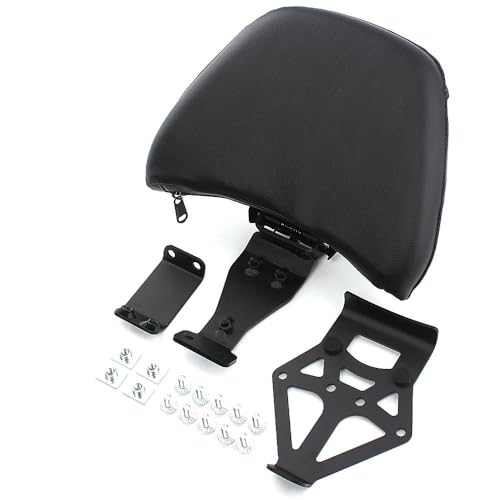 Dossier réglable conducteur voyage et roadtrip à moto Tour DCT 1800 F6B