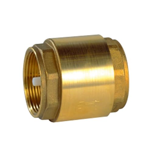 SPID'O - Clapet Anti-Retour Laiton pour Pompe - Protection Circuit Eau - Filetages FF/FM/MM (FF 26/34)