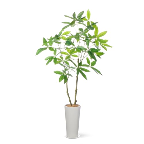 GREENPARK pL Xv^[ H140cm ϗtA tFCNO[