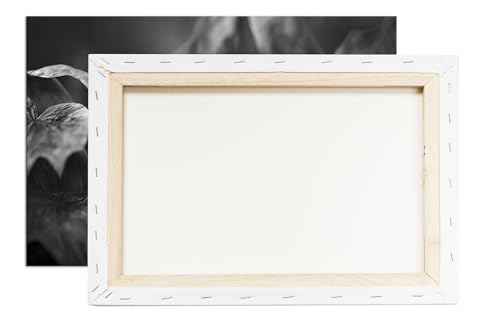 Deyoli grenouille tableau grand format 90 x 60 cm
