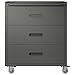 Heavy-Duty Metal Storage Cabinet with Wheels and Top Railing 3-Drawer Rolling Tool Chest with Lockable Casters and Ergonomic Handles 200 Lb Capacity Garage Cabinet for Garage Workshop Office Black