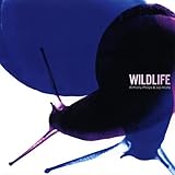 Cubs (2023 Remaster)